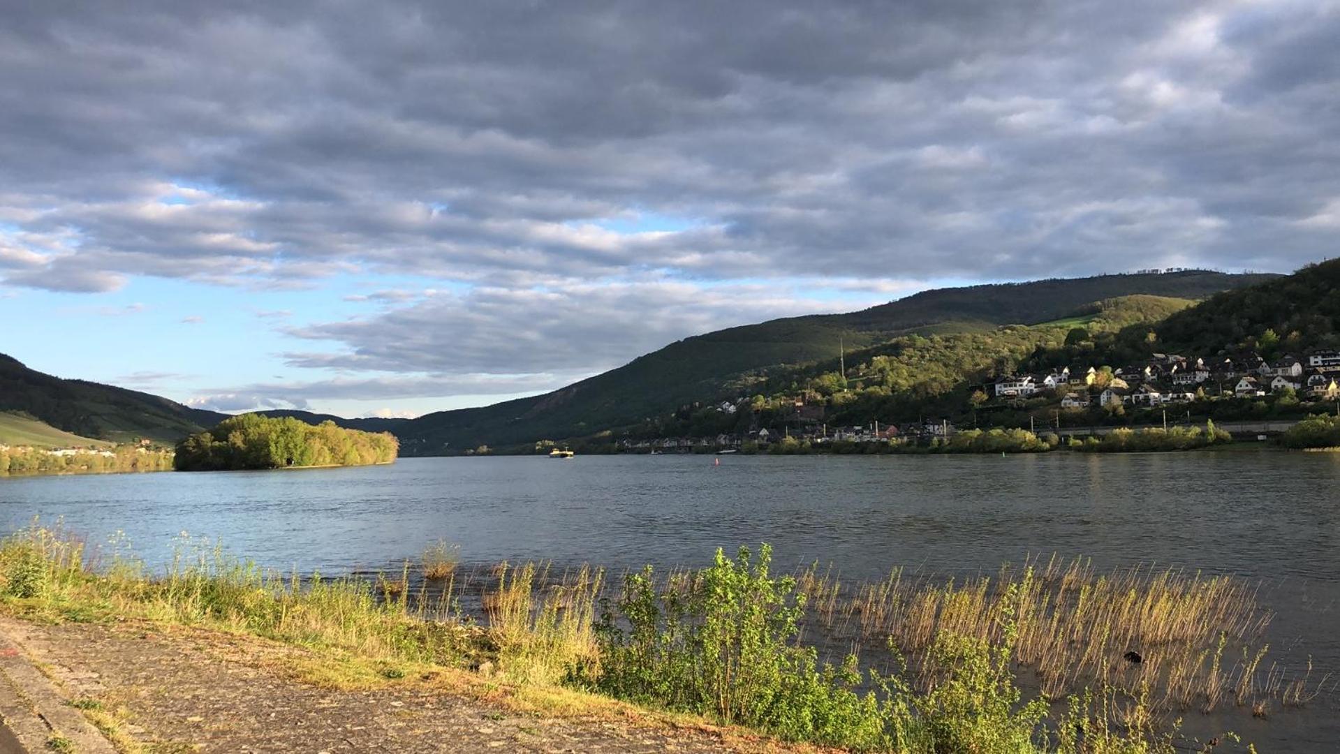 Rheinliebe Bistro Und Pension Lorch am Rhein Eksteriør bilde