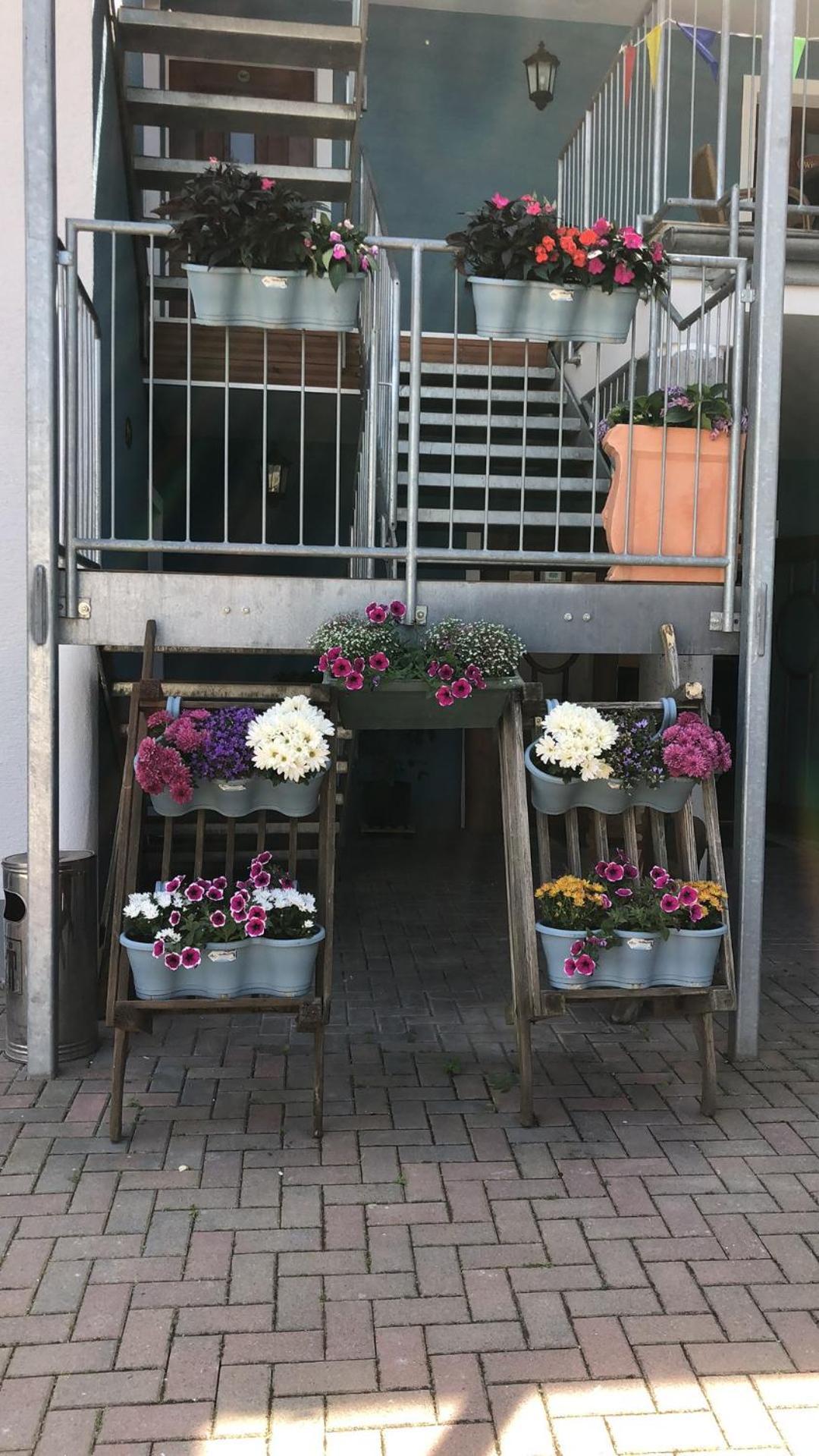 Rheinliebe Bistro Und Pension Lorch am Rhein Eksteriør bilde